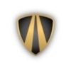 GOLD CAPITAL FINANCIAL SERVICES logo in black and gold color